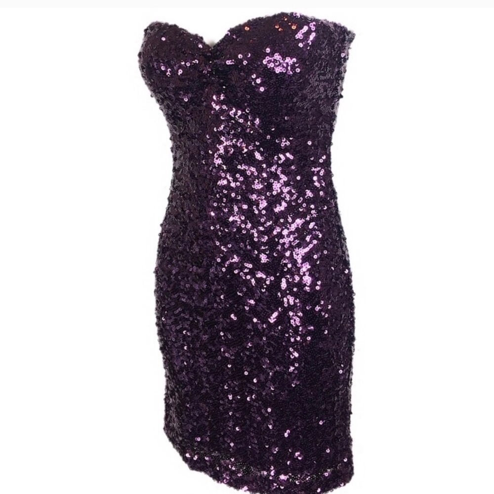Beautiful purple sequin dress.
